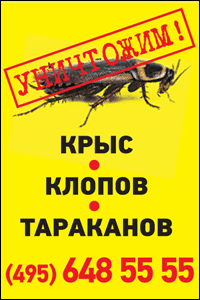 Борьба с тараканами, уничтожение тараканов в Москве